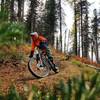 Fall riding up at Mt Spokane.