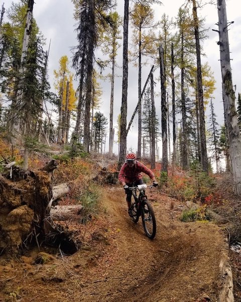 Brisk fall riding means tacky dirt.