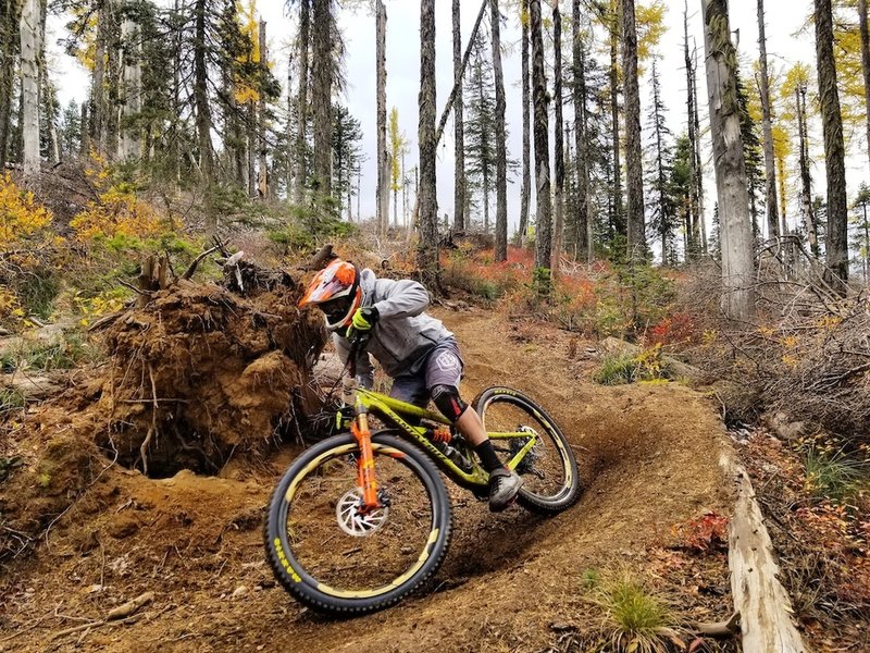 Sliding around an old fall tree.