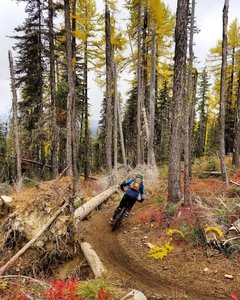 Classic fall scenery up at Mt Spokane.