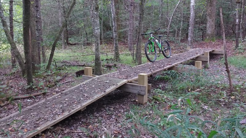 Raised platform bridge on the Palmetto Trail across the soggy marsh on Jerry Creek.