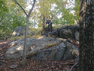 Rock roller on Sprain Ridge Loop