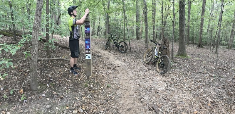 Enjoy some zen at the end of stinger trail connecting to south branch loop! Please note no rocks were harmed in the making of this zen!