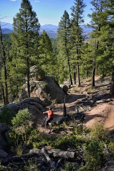 Coming down switchbacks on the Little Scraggy Loop.