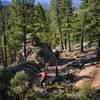 Coming down switchbacks on the Little Scraggy Loop.