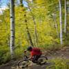 Descending a berm at Aspen Snowmass.