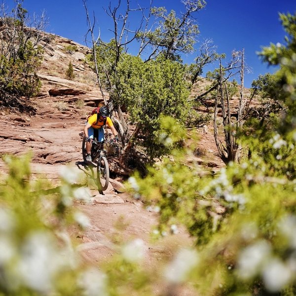 Descending a rock feature along Horsethief Bench.