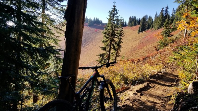 Reaching the meadow on Alpine Baldy.