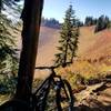 Reaching the meadow on Alpine Baldy.