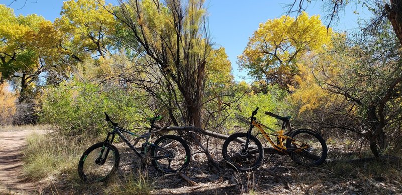 Did not expect so much beauty on this trail. Bring your little shredders (if you have little ones). Seemingly endless flowy and scenic riding!