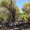 Did not expect so much beauty on this trail. Bring your little shredders (if you have little ones). Seemingly endless flowy and scenic riding!