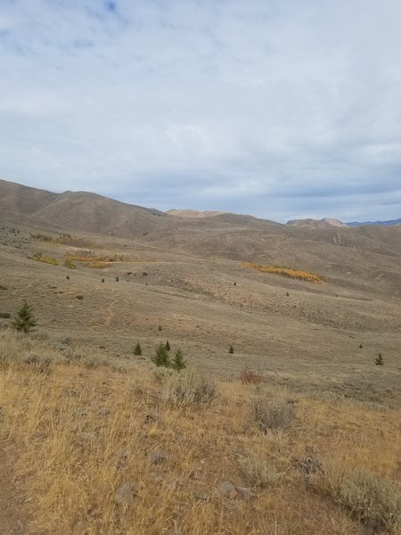 Terrain crossed while riding Hidden Valley. Fall trees are where $ at.