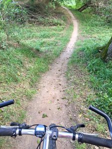 Most of the sandy trail is dry within hours of a rain.