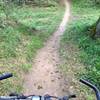 Most of the sandy trail is dry within hours of a rain.