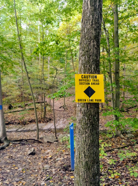 Green Lane Singletrack - Blue Trail