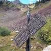 Junction of Sharkstooth Trail and Bear Creek Trail.