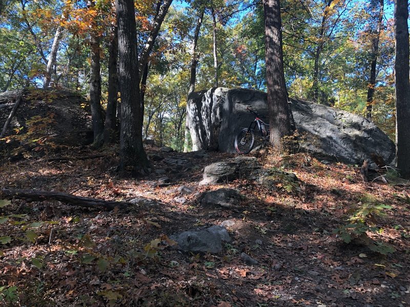 Top of a steep-ish, somewhat rocky grade on The No Name trail.