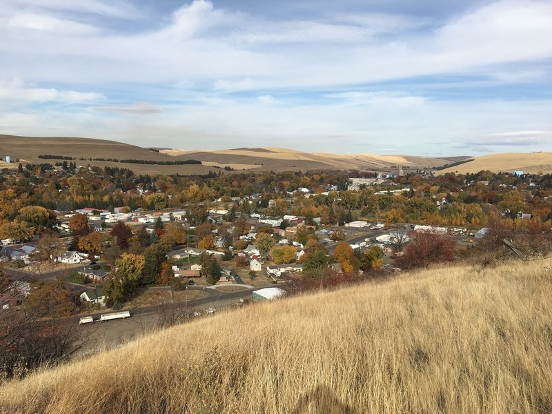 View from bench at top of loop