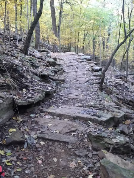 One of the many well built switchbacks at Kessler Mountain