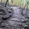 One of the many well built switchbacks at Kessler Mountain