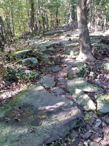 Rock gardens are plentiful at Kessler Mountain. Though challenging, all are rideable with skill and if you have enough energy to power through them.