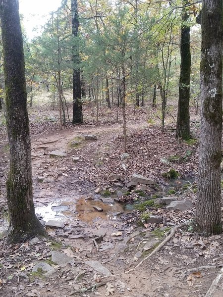 Several water crossings at Ben Geren Park