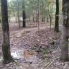 Several water crossings at Ben Geren Park