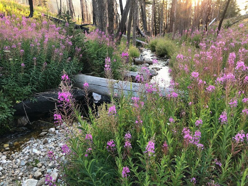 The headwaters of the Crooked River