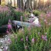 The headwaters of the Crooked River