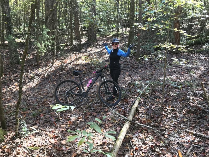 Jumping back on the bike after a Halloween week cemetery visit