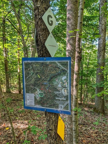 Maps and Badges at Intersections