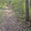 Bike/Ski trail behind Allegan State Game Area Headquarters