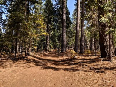 Trail approaching campground