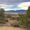 A view of the Carson Range looking between a pinyon pine on the left and a juniper on the right.