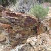 Here’s one of many colorful large rocks, this one with a very young pinyon pine growing next to it.