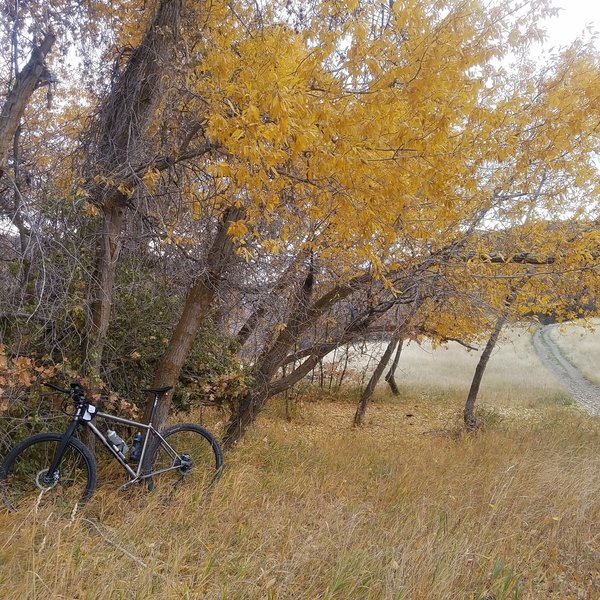 Fall at Dry Canyon