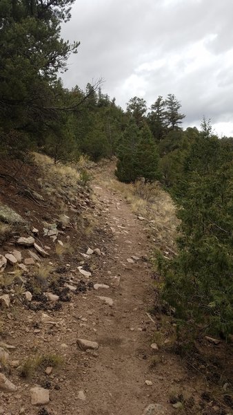 The trail gets rocky and steep here.