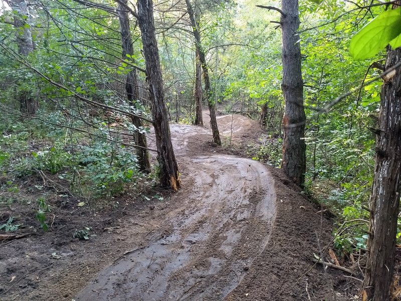 New "lifted and tilted" flow trail in north area of park