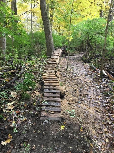 Red Trail - Log Ride