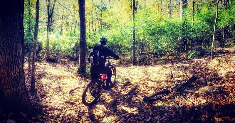 Rocky Top on the Percy Warner black diamond trail.