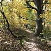 Fall at Buffalo Lake