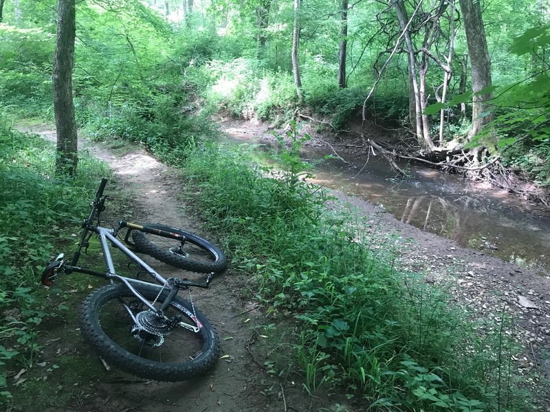 Down on Buffalo Creek