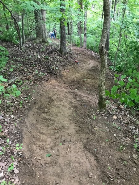 BSA Troop 829 Eagle Scout project--start of new spur trail if things go according to plan