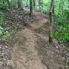 BSA Troop 829 Eagle Scout project--start of new spur trail if things go according to plan
