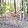 Graveyard Trail entrance from the field