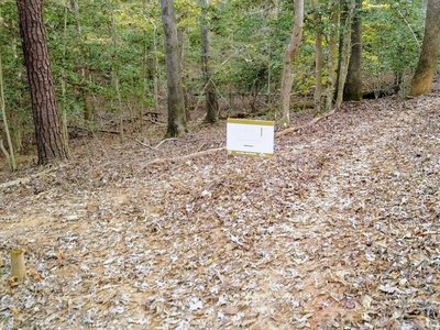 Trail split for extension loop