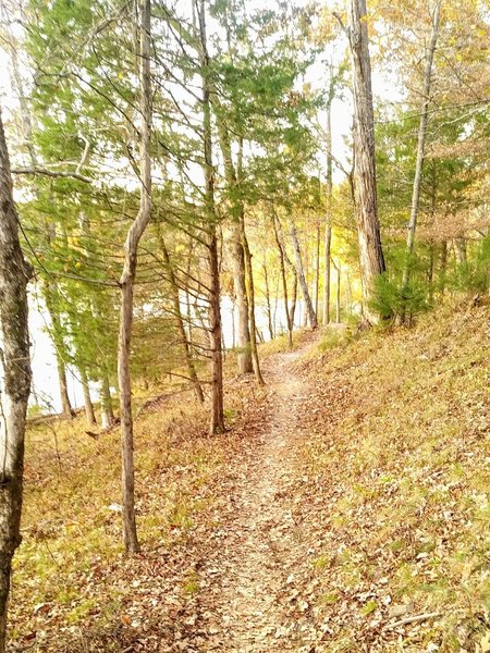 Main trail on the peninsula