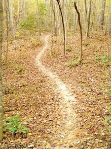 Main Trail