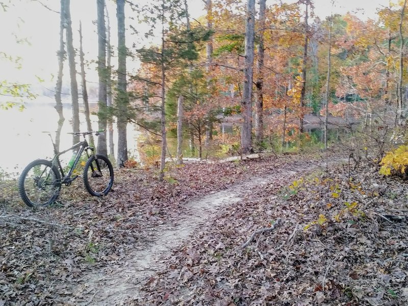 Main Trail with a view of Falls Lake