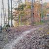 Main Trail with a view of Falls Lake